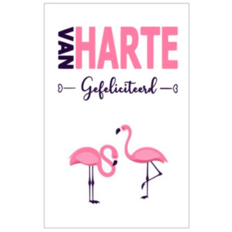 Gefeliciteerd Flamingo - kaart
